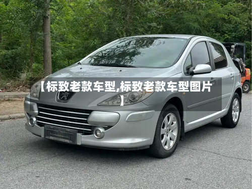 【标致老款车型,标致老款车型图片】-第2张图片