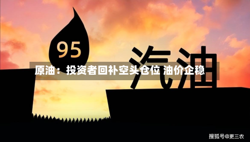 原油:投资者回补空头仓位 油价企稳