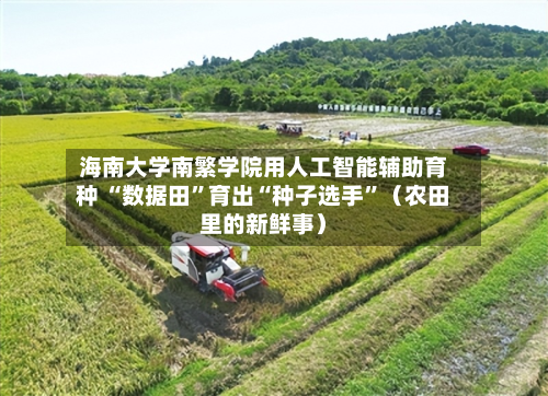 海南大学南繁学院用人工智能辅助育种 “数据田”育出“种子选手”（农田里的新鲜事）-第2张图片