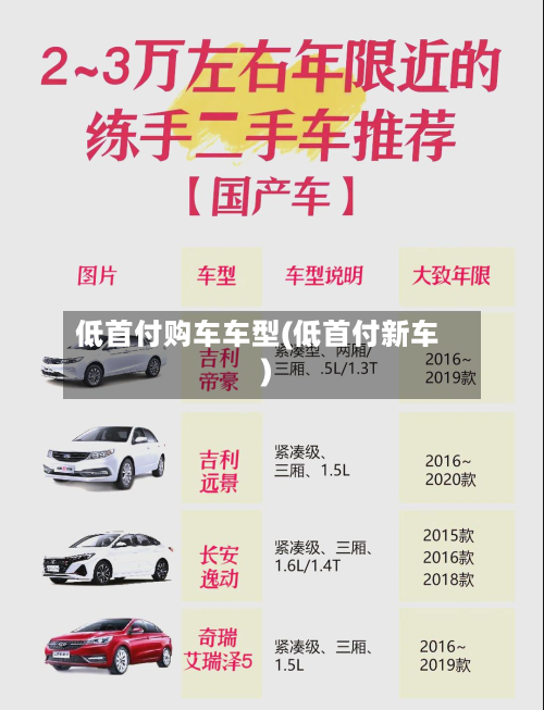 低首付购车车型(低首付新车)