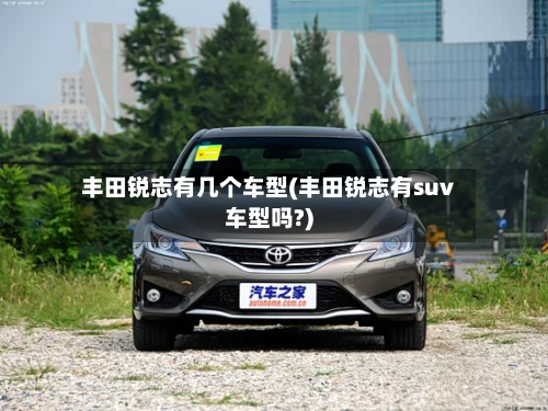 丰田锐志有几个车型(丰田锐志有suv车型吗?)