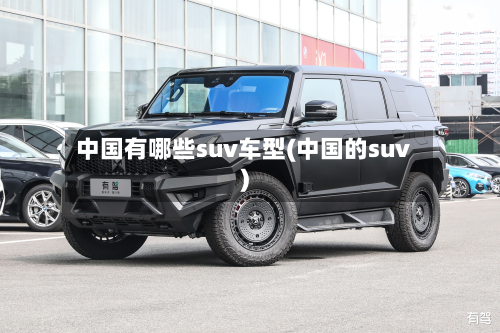 中国有哪些suv车型(中国的suv)-第3张图片