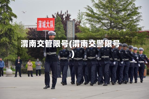 渭南交管限号(渭南交警限号)-第2张图片