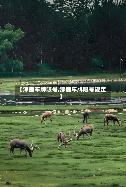 【涿鹿车牌限号,涿鹿车牌限号规定】-第2张图片