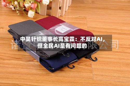 中昊针织董事长高宝霖：不反对AI，但全民AI是有问题的-第3张图片