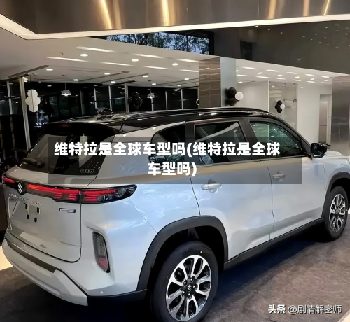 维特拉是全球车型吗(维特拉是全球车型吗)-第3张图片