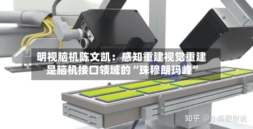 明视脑机陈文凯:感知重建视觉重建是脑机接口领域的“珠穆朗玛峰”