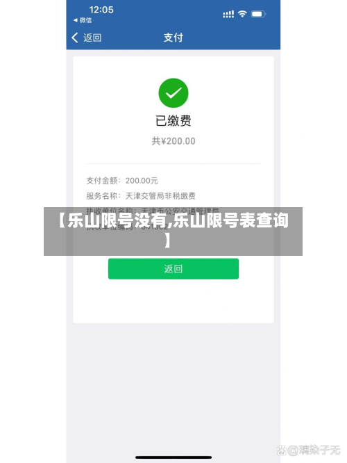 【乐山限号没有,乐山限号表查询】-第2张图片