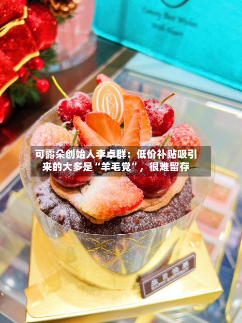 可露朵创始人李卓群：低价补贴吸引来的大多是“羊毛党”，很难留存-第2张图片