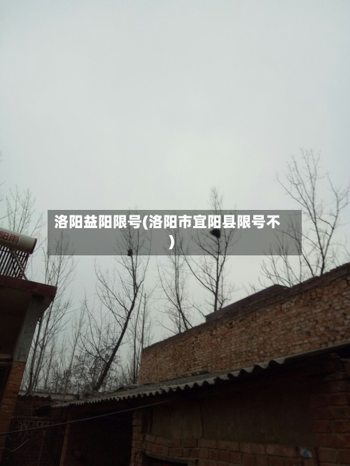 洛阳益阳限号(洛阳市宜阳县限号不)