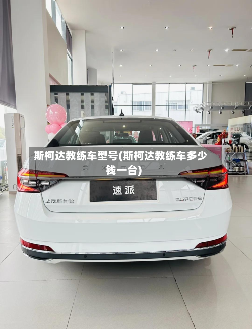斯柯达教练车型号(斯柯达教练车多少钱一台)