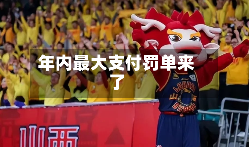 年内最大支付罚单来了