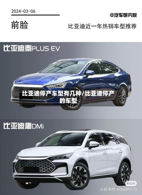 比亚迪停产车型有几种/比亚迪停产的车型-第2张图片