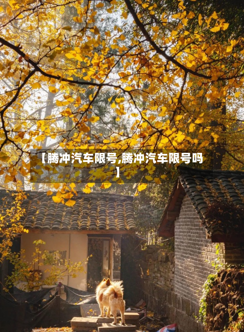 【腾冲汽车限号,腾冲汽车限号吗】-第3张图片