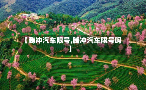 【腾冲汽车限号,腾冲汽车限号吗】