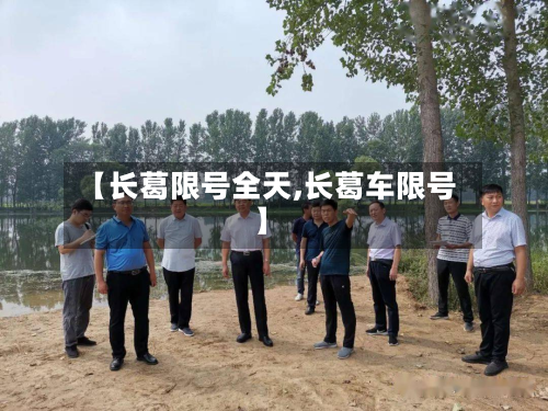 【长葛限号全天,长葛车限号】-第2张图片