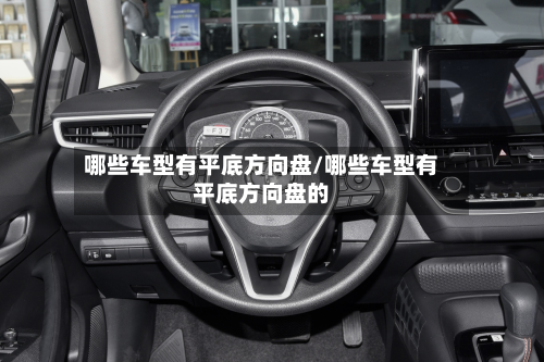 哪些车型有平底方向盘/哪些车型有平底方向盘的-第3张图片