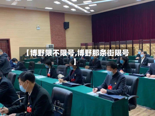 【博野限不限号,博野那条街限号】-第2张图片