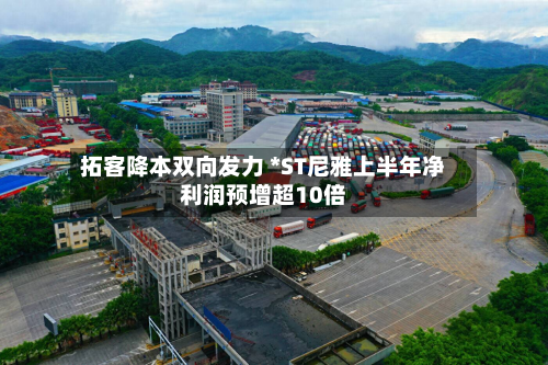 拓客降本双向发力 *ST尼雅上半年净利润预增超10倍