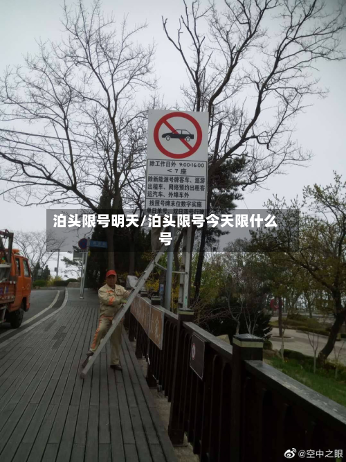 泊头限号明天/泊头限号今天限什么号-第2张图片