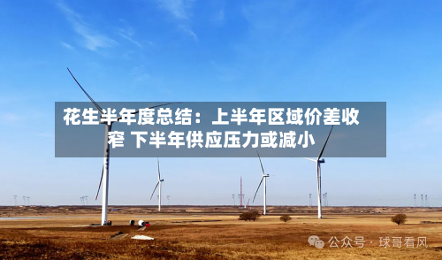 花生半年度总结：上半年区域价差收窄 下半年供应压力或减小-第1张图片